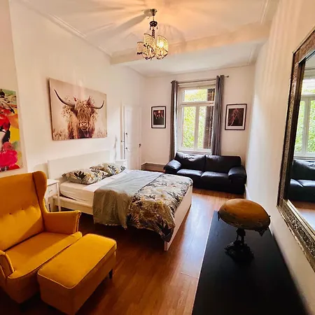 Appartamento Spacieux En Centre Strasburgo