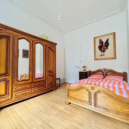 Spacieux En Centre Strasbourg