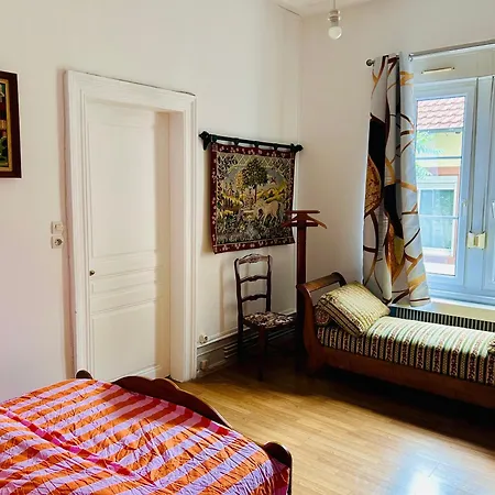 Spacieux En Centre Strasburgo