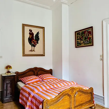 Apartment Spacieux En Centre Strasbourg