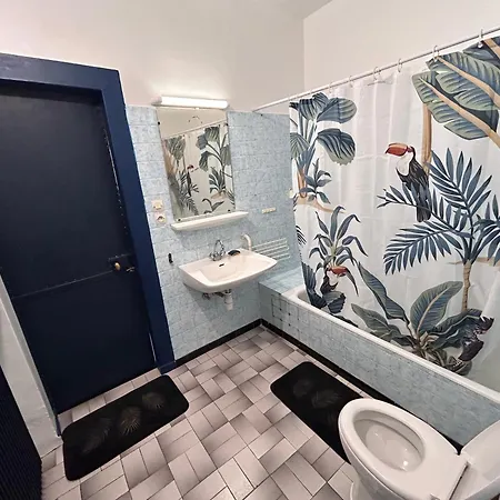 Apartment Spacieux En Centre Strasbourg