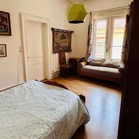 Apartment Spacieux En Centre Strasbourg
