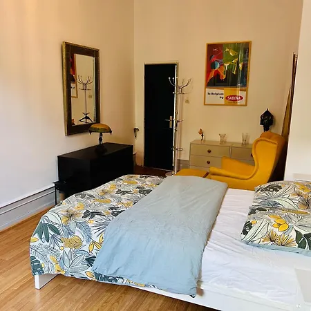 Spacieux En Centre ستراسبورغ